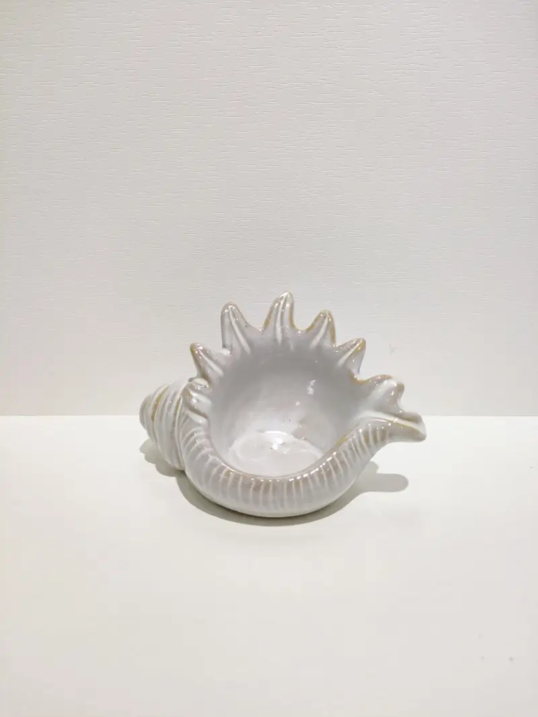 151D ceramic shell dish with natural ocean inspired form, suitable for decorative display and small accessory organization.