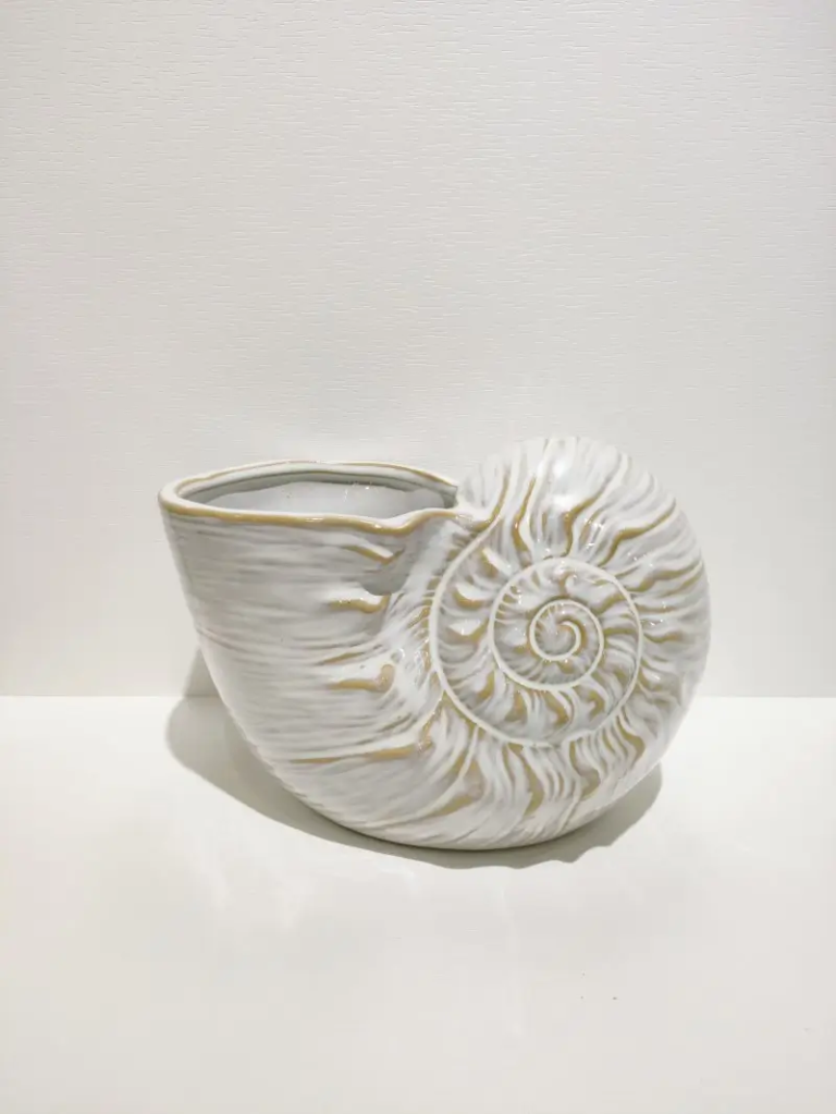 156D nautilus shell storage container with ocean inspired spiral texture, designed for jewelry, accessories and small item organization.