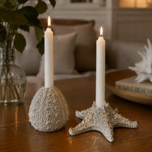 Shell shaped ceramic candle holder with ocean inspired texture and sculptural design, suitable for elegant home decor and interior styling.